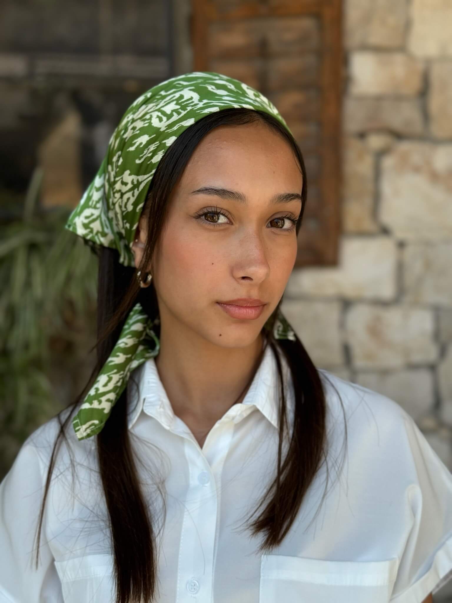 ריבוע ירוק גווני בז