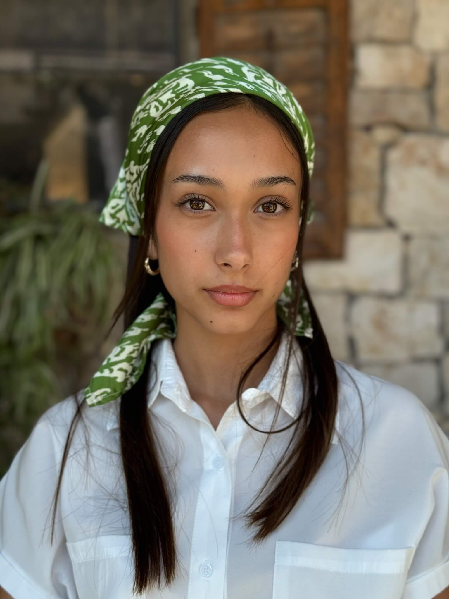 ריבוע ירוק גווני בז